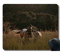 Cojín de ratón de goma natural, melena del caballo del campo de los deportes de las tierras de labrantío con la frontera cosida