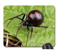 Cojín de ratón de la ARAÑA Negra de la Viuda, Mousepad