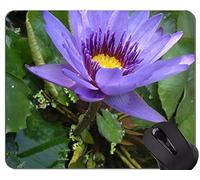 Cojín de ratón de Lotus Gaming del diseño del arte del color floral Aduana - base de goma antideslizante de Lotus Mousepad