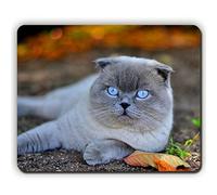 (Cojín de ratón de Ojos) Alfombrilla de ratón, Ojos Azules de Gato Cara caída Deja de mentir, Game Office Mousepad