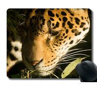Cojín de ratón de Yanteng, Caucho Antideslizante de Mousepad del carnívoro de la Cabeza del depredador del Leopardo