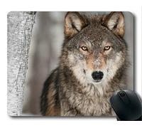 Cojín de ratón de Yanteng, cojín de ratón del Juego del Caucho del Lobo de la Fauna de la Mirada Fija (Multicolor)