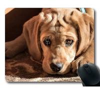 Cojín de ratón del Juego, Perro Perdiguero de Oro del Perro Lindo Colorido, Costura de la precisión, cojín de ratón Durable