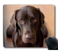 Cojín de ratón del Perrito del Perro Mousepad, Animales Cojín de ratón del Perrito del Golden Retriever del Perro de los Animales Caucho YT 043