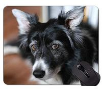 Cojín de ratón del Perro del Amigo del Pastor alemán, Alfombrilla de ratón de la Naturaleza