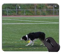 Cojín de ratón del Perro del Amigo del Pastor alemán, cojín de ratón de Goma del Border Collie