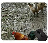 Cojín de ratón Encantador Antideslizante del Juego de la Comodidad del Cerdo, cojín de ratón Divertido Lindo del Cerdo del Pollo Divertido