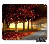 Cojín de ratón Fino y Durable del Borde de Costura, Park Mouse Pad, Alfombrilla de ratón (Mouse Mouse Pad)