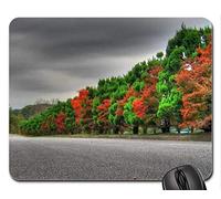 Cojín de ratón Fino y Durable del Borde de la Costura, árboles Hermosos del otoño en el Camino Cojín de ratón, cojín de ratón (cojín de ratón de los bosques)