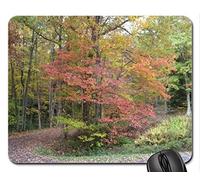 Cojín de ratón Fino y Durable del Borde de la Costura, Cojín de ratón Around The Bend, Cojín de ratón (Cojín de ratón de los bosques)