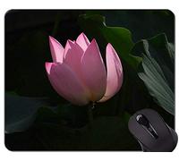 Cojín de ratón floral del juego de la flor de Zen Lotus - cojín de ratón de goma de la flor