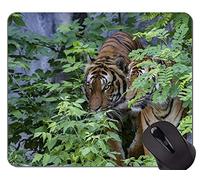 Cojín de ratón fresco de la cabeza del tigre en fuego, cojín de ratón de la oficina del tigre de Sumatra