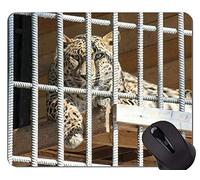 Cojín de ratón Fresco de la Cabeza del Tigre en Fuego, Cojines de ratón de la Jaula con los Bordes cosidos