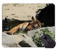 Cojín de ratón fresco del tigre que ruge en la nieve, cojines de ratón del tigre de Sumatra con los bordes cosidos