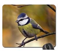 Cojín de ratón fresco hermoso del pájaro, mi 1r tit ... Cojín de ratón, alfombrilla de ráton