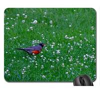 Cojín de ratón fresco hermoso del pájaro, Robin In A Field Of Clover Cojín de ratón, alfombrilla de ráton