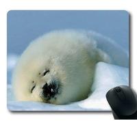 Cojín de ratón Lindo del rectángulo Blanco de la Piel de Foca del bebé