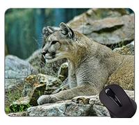 Cojín de ratón original de encargo de la serie del leopardo, cojín de ratón del leopardo del león con el borde cosido