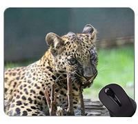 Cojín de ratón original de encargo de la serie del leopardo, cojines de ratón del leopardo de la familia del gato del leopardo