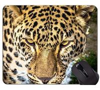 Cojín de ratón original de encargo de la serie del leopardo, cojines de ratón del leopardo de la familia del gato del leopardo