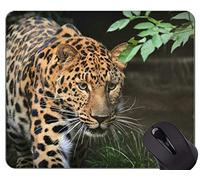 Cojín de ratón original de encargo de la serie del leopardo, cojines de ratón del leopardo de la familia del gato del leopardo
