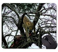 Cojín de ratón original de encargo de la serie del leopardo, familia del gato del árbol cojines de ratón del leopardo