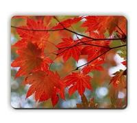 Cojín de ratón, Rama del árbol de Las Hojas Rojas, cojín de ratón de la Oficina del Juego