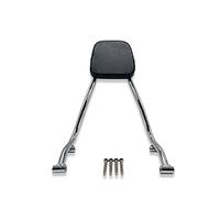 Cojín De Respaldo De Asiento De Conductor Cosido Ajustable Para Motocicleta, Almohadilla De Respaldo Para R18 R 18 2020 2021 2022 calle(D)