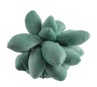 Cojín de suculentas, cojín de cactus con suculentas adorables para amantes de la jardinería o de las