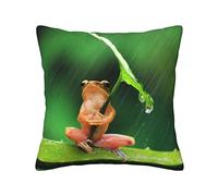 Cojín Decorativo, cojín de Rana con Paraguas de Hojas de 18.0 x 18.0 in, cojín de Lujo para sofá Cama