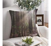 Cojín Funda de Almohada Primavera Bosque Bosque Mañana Camino Medio Ambiente Pino Atardecer Hoja Verde Escénico Niebla Niebla Naturaleza Árboles Cojín Cuadrado Cojín para sofá Silla Ropa de Cama 18x