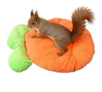 Cojín para mascotas en forma de zanahoria, suave cama para perros y gatos para interiores, para todo el año, para razas pequeñas, medianas y grandes, viajes, perreras, sofá, hola