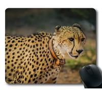 Cojines de ratón Animales Lindos, Guepardo Animal de África, Tanque de Tigre Alfombrillas de Raton