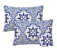 Cojines Exterior 60x80 Azul Cojines Exterior Jardin Juego de 2 Funda Cojin Geometría Abstracta Impermeable Felpa Corta Suave Cojín Lumbar para Primavera Verano Garden Terraza Decorativos, Regalo S-940