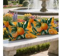Cojines Exterior Impermeable 60x80cm 2 Piezas Funda Cojin Rectangulares Fruta Funda de Almohada Lino Cushion Covers Naranja Impresión de Doble Cara Almohada Cushions para Jardin Otoño Decor,LY-485