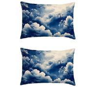 Cojines Exterior Impermeable Clavo Funda Cojin 60x90cm Rectángulos Cojines para Sofa Resumen Impresin de Doble Cara Lino Decoración Grandes Funda Almohada Juego de 2 Funda Cojin Decorativas M-198