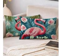 Cojines Exterior Jardin Flamenco, Funda Cojin Rectangular 50x70, Fundas Cojines Planta Fundas de Almohada de Cama, Juego de 2 Terciopelo Funda Almohada, para Primavera Sala de Estar Dormitorio S-10802
