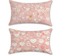 Cojines Sofa 30x50 Juego de 2 Terciopelo Fundas Cojines Rosa Cojin Infantil Amor Funda Almohada, Rectangular Cojin Sofa Pillow Case Exterior Impermeable, para Sofá Salon Dormitorio z-148