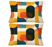 Cojines Sofa Abstracto Fundas Almohadas 30x50 pack 2 Funda Almohada Color, 2026 Nuevo Terciopelo Cojines Sofá Rectangular Fundas de Cojín, Winter/Spring Decor del Hogar Sala de Estar Dormitorio O-439Y