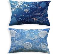 Cojines Sofa Bohemia Funda Cojin 60x80cm Juego de 2 Terciopelo Fundas Cojines Azul,2026 Nuevo Rectángulo con Cremallera Invisible Funda Almohada para Hogar Decoracion Salon Dormitorio Oficina O-109P