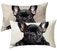 Cojines Sofa Negro, Funda Cojin 50x80 Lino Juego de 2 Cojines Exterior Impermeable, Perro Funda Almohada, Fundas Cojin Decorativos, para Decorativos Salon Dormitorio Sofá Balcones Jardin Cama k-337