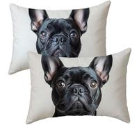 Cojines Sofa Perro Funda Cojin 40x70 Juego de 2 Cojines Exterior, Cojin Impermeable Terciopelo Funda Almohada Rectangular, Pillows for Bed 2 Pack, Decoracion Jardin Exterior, 40x70cm, Negro i-275