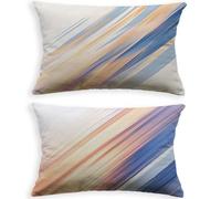 Cojines Sofa Simple Funda Cojin 60x90cm Juego de 2 Terciopelo Fundas Cojines Color,2026 Nuevo Rectángulo con Cremallera Invisible Funda Almohada para Hogar Decoracion Salon Dormitorio Oficina O-139P