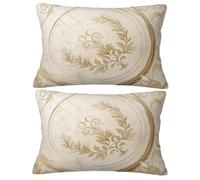 Cojines Sofa Simple Fundas Almohadas 60x80 Pack 2 Funda Almohada Nórdico, 2026 Nuevo Terciopelo Cojines Sofá Rectangular Fundas de Cojín, Winter/Spring Decor del Hogar Sala de Estar Dormitorio O-31Y