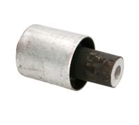 Cojinete, brazo de control MEYLE 466100028