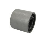 Cojinete, brazo de control REINHOCH RH14-3060
