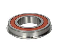 Cojinete, cambio automático ZF 0750116365ZF