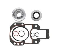 Cojinete con Junta y Retén Compatible con Mercruiser R MR Alpha One Gen II Stern Drives Recambio para 30-879194A01 894996Q2 30-60794A4 27-94996A1(27-94996Q2 862540A3)