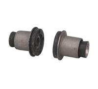 Cojinete, cuerpo de eje DELPHI TD513W