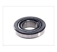 Cojinete de eje de entrada (diferencial) SKF VKT 8761